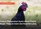 Hukum Melepaskan Ayam dalam Tradisi Bugis: Tinjauan Islam dan Kearifan Lokal
