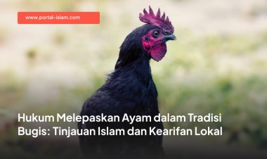Hukum Melepaskan Ayam dalam Tradisi Bugis: Tinjauan Islam dan Kearifan Lokal