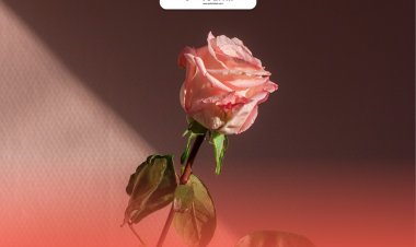 Jodohmu Sudah Disetting Hatinya Oleh Allah