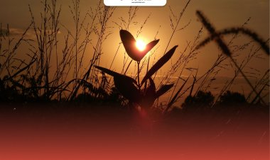 5 Langkah Agar Hati Ikhlas dan Ridha terhadap Takdir Allah